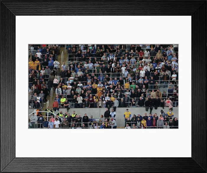 Framed Print : Newcastle United v Brighton and Hove Albion Premier League 19OCT24 Framed Print : Newcastle United v Brighton and Hove Albion Premier League 19OCT24