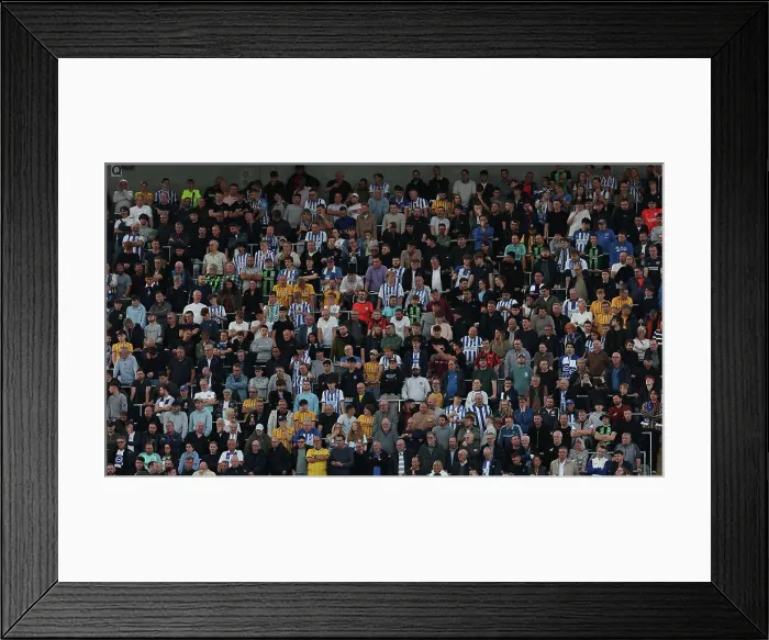 Framed Print : Newcastle United v Brighton and Hove Albion Premier League 19OCT24 Framed Print : Newcastle United v Brighton and Hove Albion Premier League 19OCT24