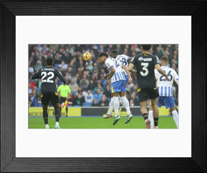 Framed Print : Brighton and Hove Albion v Wolverhampton Wanderers Premier League 26OCT24 Framed Print : Brighton and Hove Albion v Wolverhampton Wanderers Premier League 26OCT24