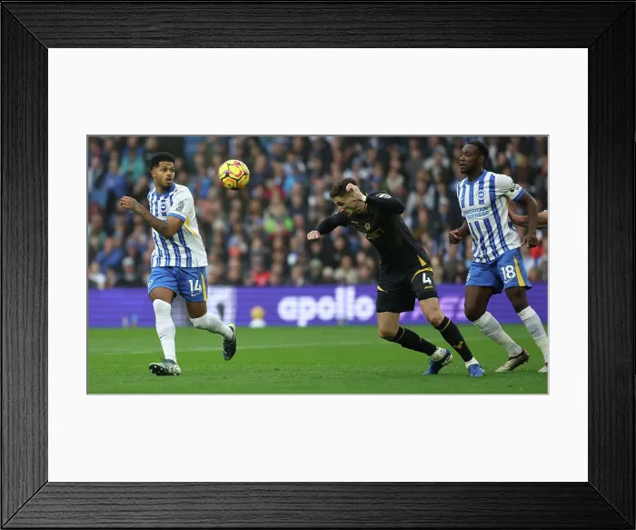 Framed Print : Brighton and Hove Albion v Wolverhampton Wanderers Premier League 26OCT24 Framed Print : Brighton and Hove Albion v Wolverhampton Wanderers Premier League 26OCT24