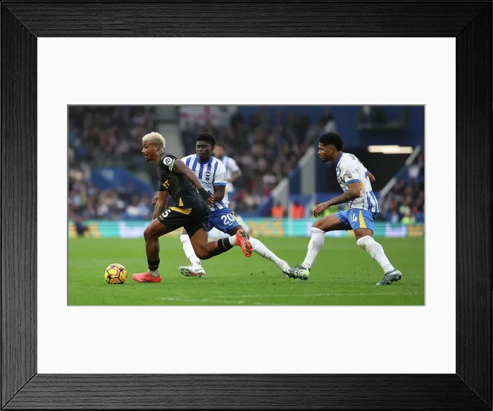 Framed Print : Brighton and Hove Albion v Wolverhampton Wanderers Premier League 26OCT24 Framed Print : Brighton and Hove Albion v Wolverhampton Wanderers Premier League 26OCT24