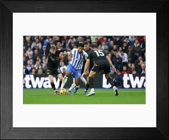 Framed Print : Brighton and Hove Albion v Wolverhampton Wanderers Premier League 26OCT24 Framed Print : Brighton and Hove Albion v Wolverhampton Wanderers Premier League 26OCT24