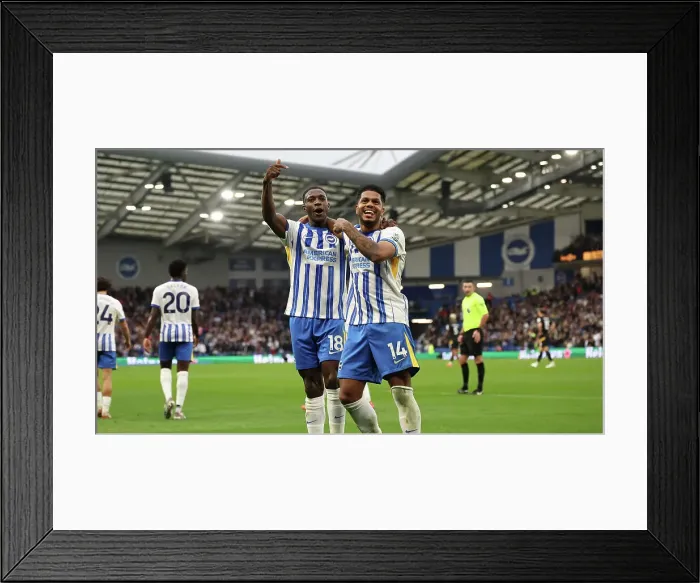 Framed Print : Brighton and Hove Albion v Wolverhampton Wanderers Premier League 26OCT24 Framed Print : Brighton and Hove Albion v Wolverhampton Wanderers Premier League 26OCT24