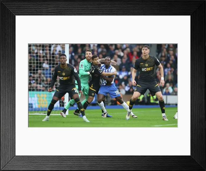 Framed Print : Brighton and Hove Albion v Wolverhampton Wanderers Premier League 26OCT24 Framed Print : Brighton and Hove Albion v Wolverhampton Wanderers Premier League 26OCT24