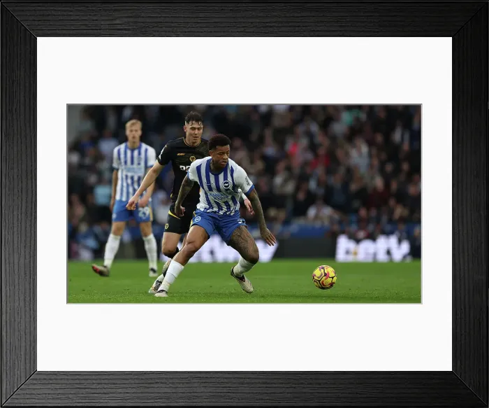 Framed Print : Brighton and Hove Albion v Wolverhampton Wanderers Premier League 26OCT24 Framed Print : Brighton and Hove Albion v Wolverhampton Wanderers Premier League 26OCT24