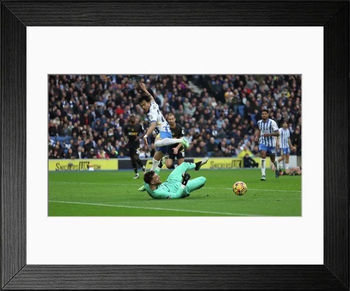 Framed Print : Brighton and Hove Albion v Wolverhampton Wanderers Premier League 26OCT24