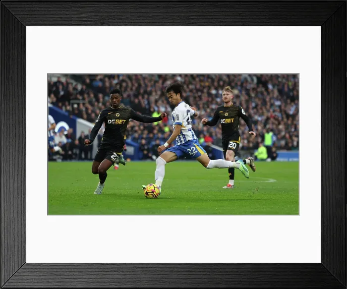 Framed Print : Brighton and Hove Albion v Wolverhampton Wanderers Premier League 26OCT24