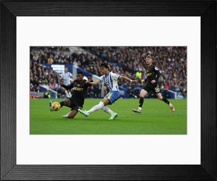 Framed Print : Brighton and Hove Albion v Wolverhampton Wanderers Premier League 26OCT24