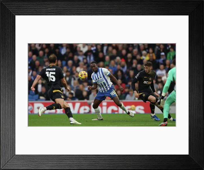 Framed Print : Brighton and Hove Albion v Wolverhampton Wanderers Premier League 26OCT24