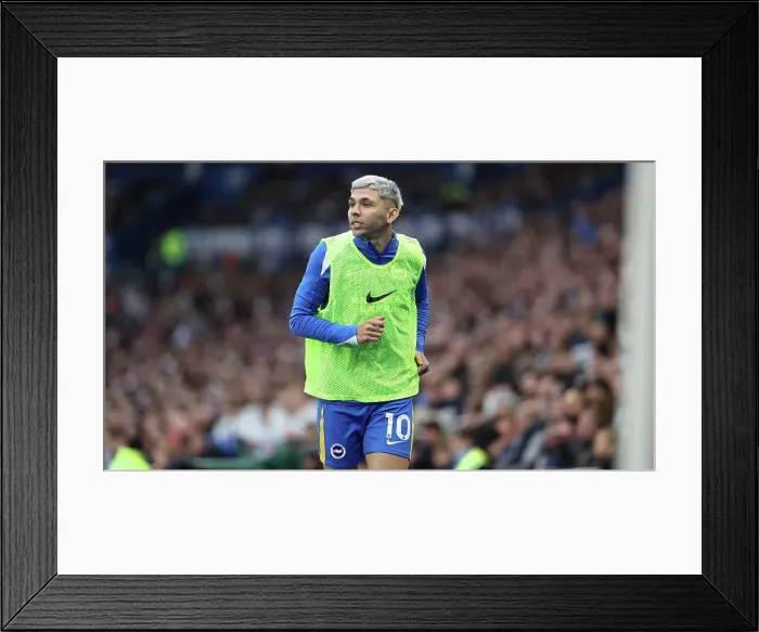 Framed Print : Brighton and Hove Albion v Wolverhampton Wanderers Premier League 26OCT24 Framed Print : Brighton and Hove Albion v Wolverhampton Wanderers Premier League 26OCT24