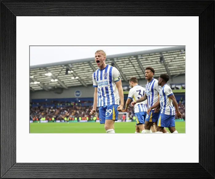 Framed Print : Brighton and Hove Albion v Wolverhampton Wanderers Premier League 26OCT24 Framed Print : Brighton and Hove Albion v Wolverhampton Wanderers Premier League 26OCT24