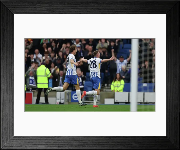 Framed Print : Brighton and Hove Albion v Wolverhampton Wanderers Premier League 26OCT24 Framed Print : Brighton and Hove Albion v Wolverhampton Wanderers Premier League 26OCT24