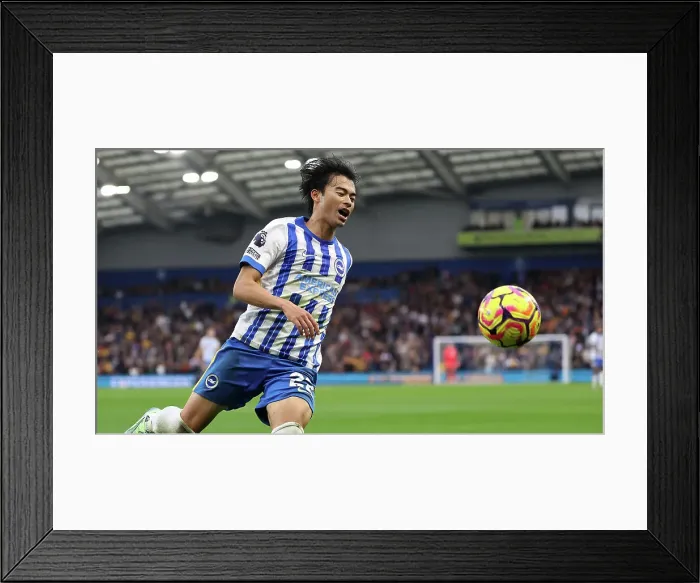 Framed Print : Brighton and Hove Albion v Wolverhampton Wanderers Premier League 26OCT24 Framed Print : Brighton and Hove Albion v Wolverhampton Wanderers Premier League 26OCT24