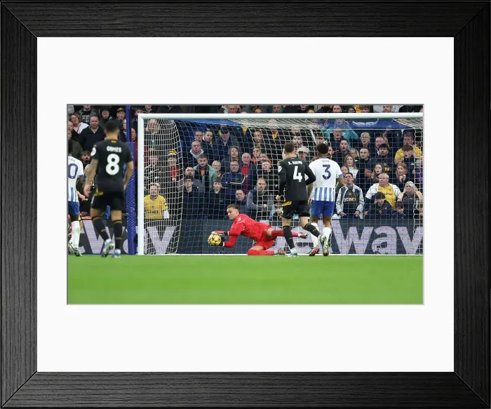 Framed Print : Brighton and Hove Albion v Wolverhampton Wanderers Premier League 26OCT24