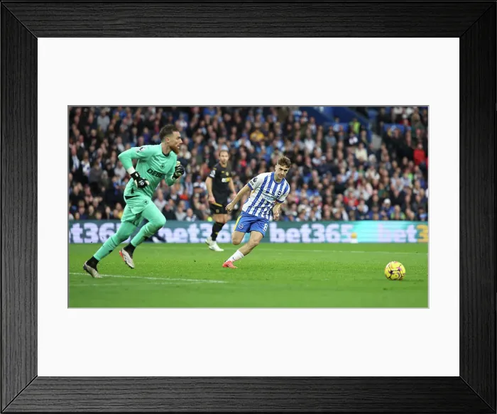 Framed Print : Brighton and Hove Albion v Wolverhampton Wanderers Premier League 26OCT24 Framed Print : Brighton and Hove Albion v Wolverhampton Wanderers Premier League 26OCT24