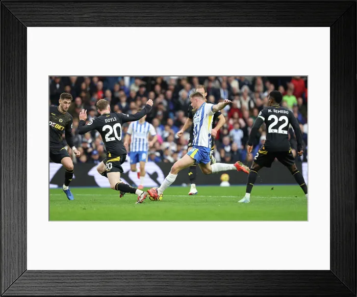 Framed Print : Brighton and Hove Albion v Wolverhampton Wanderers Premier League 26OCT24 Framed Print : Brighton and Hove Albion v Wolverhampton Wanderers Premier League 26OCT24