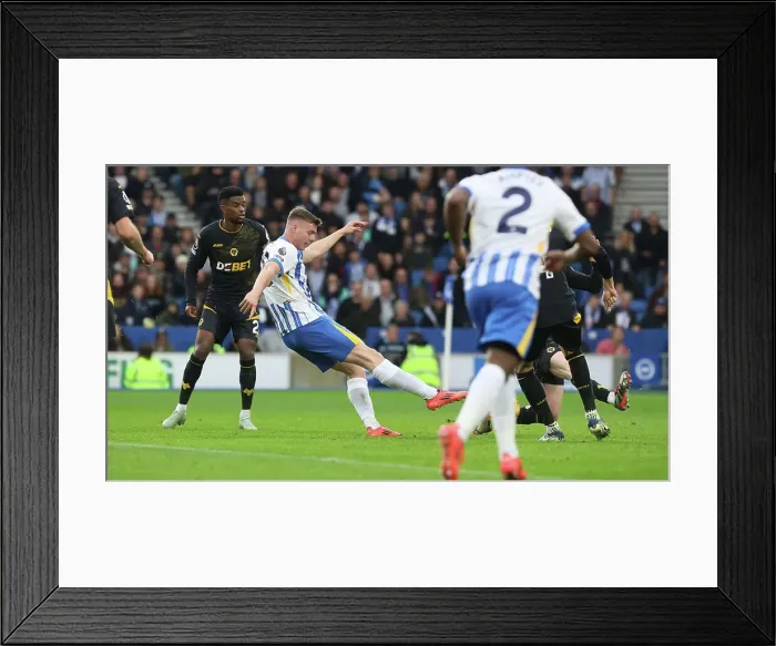 Framed Print : Brighton and Hove Albion v Wolverhampton Wanderers Premier League 26OCT24 Framed Print : Brighton and Hove Albion v Wolverhampton Wanderers Premier League 26OCT24