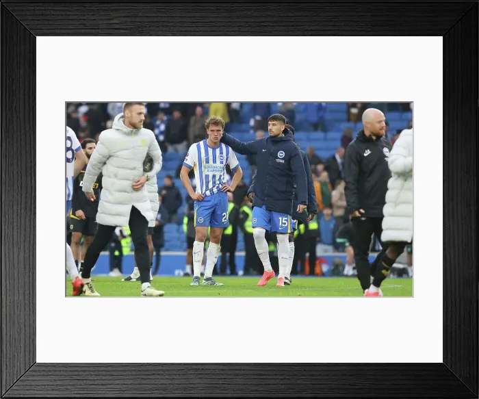 Framed Print : Brighton and Hove Albion v Wolverhampton Wanderers Premier League 26OCT24