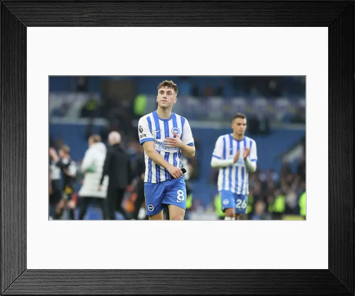 Framed Print : Brighton and Hove Albion v Wolverhampton Wanderers Premier League 26OCT24 Framed Print : Brighton and Hove Albion v Wolverhampton Wanderers Premier League 26OCT24