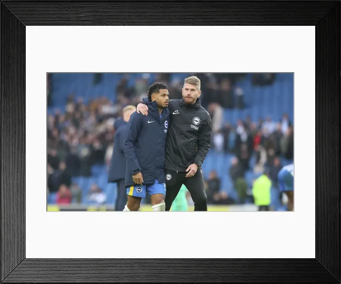 Framed Print : Brighton and Hove Albion v Wolverhampton Wanderers Premier League 26OCT24 Framed Print : Brighton and Hove Albion v Wolverhampton Wanderers Premier League 26OCT24