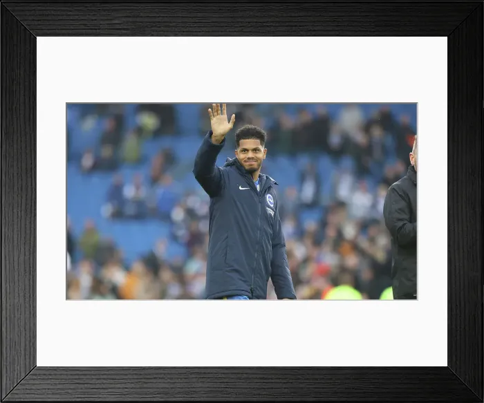 Framed Print : Brighton and Hove Albion v Wolverhampton Wanderers Premier League 26OCT24 Framed Print : Brighton and Hove Albion v Wolverhampton Wanderers Premier League 26OCT24