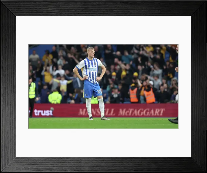 Framed Print : Brighton and Hove Albion v Wolverhampton Wanderers Premier League 26OCT24 Framed Print : Brighton and Hove Albion v Wolverhampton Wanderers Premier League 26OCT24
