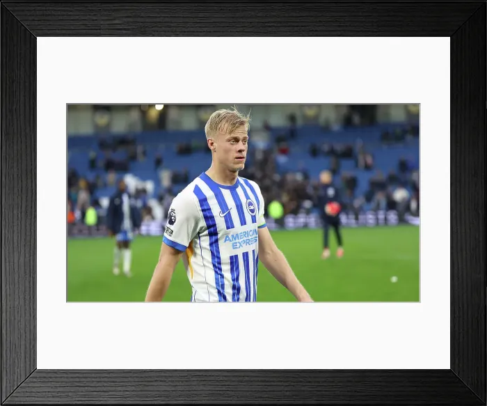 Framed Print : Brighton and Hove Albion v Wolverhampton Wanderers Premier League 26OCT24 Framed Print : Brighton and Hove Albion v Wolverhampton Wanderers Premier League 26OCT24