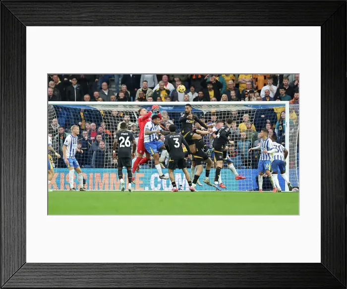 Framed Print : Brighton and Hove Albion v Wolverhampton Wanderers Premier League 26OCT24
