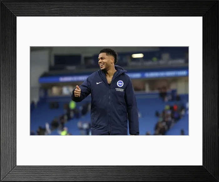 Framed Print : Brighton and Hove Albion v Wolverhampton Wanderers Premier League 26OCT24 Framed Print : Brighton and Hove Albion v Wolverhampton Wanderers Premier League 26OCT24