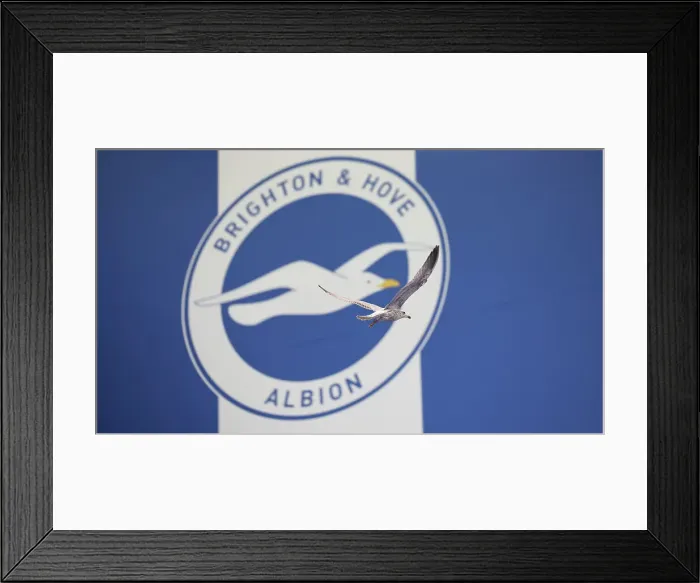 Framed Print : Brighton and Hove Albion v Wolverhampton Wanderers Premier League 26OCT24 Framed Print : Brighton and Hove Albion v Wolverhampton Wanderers Premier League 26OCT24