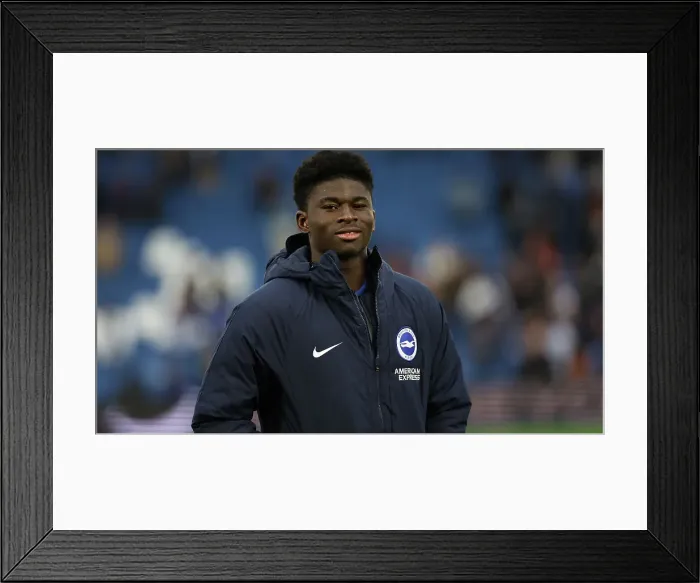 Framed Print : Brighton and Hove Albion v Wolverhampton Wanderers Premier League 26OCT24 Framed Print : Brighton and Hove Albion v Wolverhampton Wanderers Premier League 26OCT24