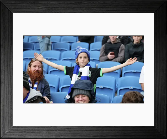 Framed Print : Brighton and Hove Albion v Wolverhampton Wanderers Premier League 26OCT24 Framed Print : Brighton and Hove Albion v Wolverhampton Wanderers Premier League 26OCT24