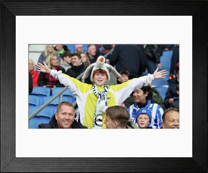 Framed Print : Brighton and Hove Albion v Wolverhampton Wanderers Premier League 26OCT24 Framed Print : Brighton and Hove Albion v Wolverhampton Wanderers Premier League 26OCT24