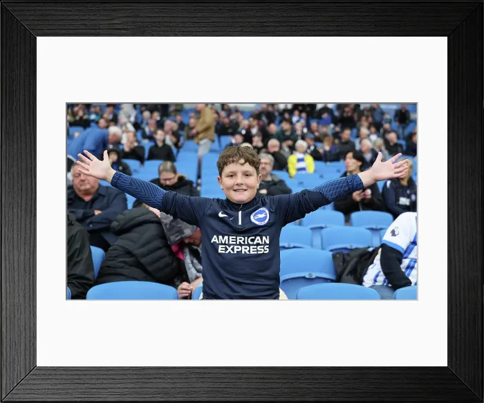 Framed Print : Brighton and Hove Albion v Wolverhampton Wanderers Premier League 26OCT24 Framed Print : Brighton and Hove Albion v Wolverhampton Wanderers Premier League 26OCT24