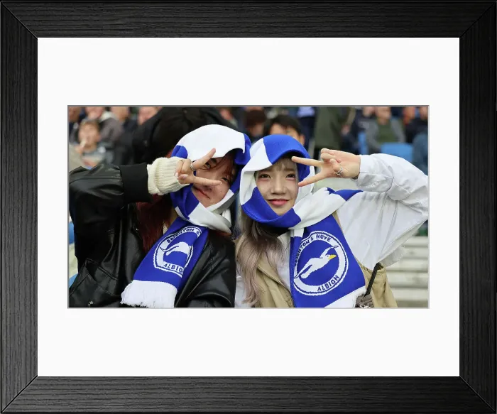 Framed Print : Brighton and Hove Albion v Wolverhampton Wanderers Premier League 26OCT24 Framed Print : Brighton and Hove Albion v Wolverhampton Wanderers Premier League 26OCT24