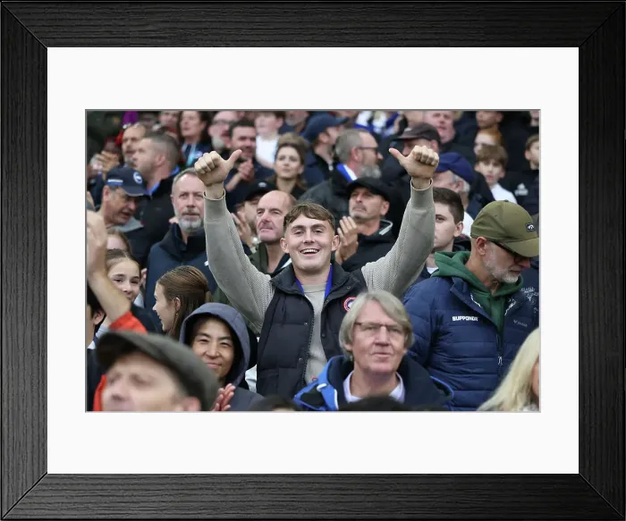 Framed Print : Brighton and Hove Albion v Wolverhampton Wanderers Premier League 26OCT24 Framed Print : Brighton and Hove Albion v Wolverhampton Wanderers Premier League 26OCT24