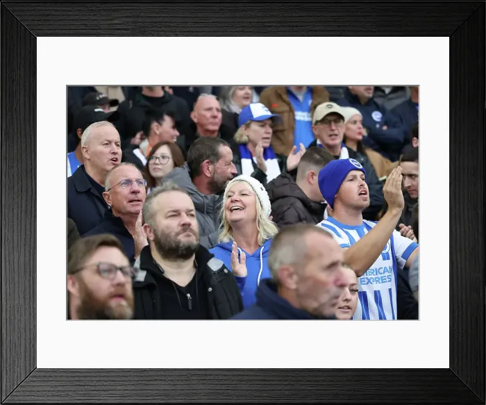Framed Print : Brighton and Hove Albion v Wolverhampton Wanderers Premier League 26OCT24 Framed Print : Brighton and Hove Albion v Wolverhampton Wanderers Premier League 26OCT24