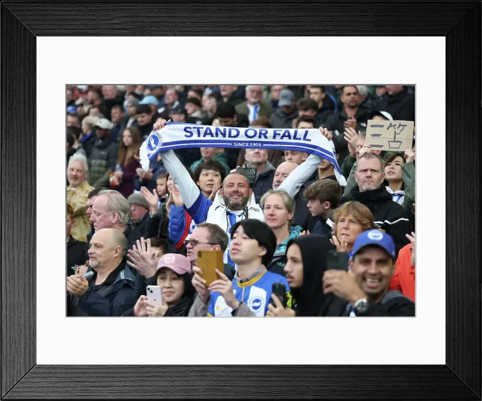 Framed Print : Brighton and Hove Albion v Wolverhampton Wanderers Premier League 26OCT24 Framed Print : Brighton and Hove Albion v Wolverhampton Wanderers Premier League 26OCT24