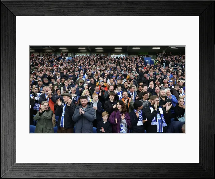 Framed Print : Brighton and Hove Albion v Wolverhampton Wanderers Premier League 26OCT24 Framed Print : Brighton and Hove Albion v Wolverhampton Wanderers Premier League 26OCT24