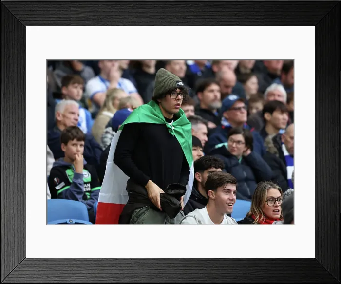 Framed Print : Brighton and Hove Albion v Wolverhampton Wanderers Premier League 26OCT24 Framed Print : Brighton and Hove Albion v Wolverhampton Wanderers Premier League 26OCT24