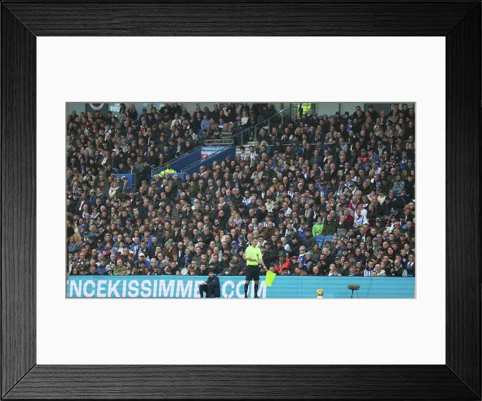 Framed Print : Brighton and Hove Albion v Wolverhampton Wanderers Premier League 26OCT24 Framed Print : Brighton and Hove Albion v Wolverhampton Wanderers Premier League 26OCT24