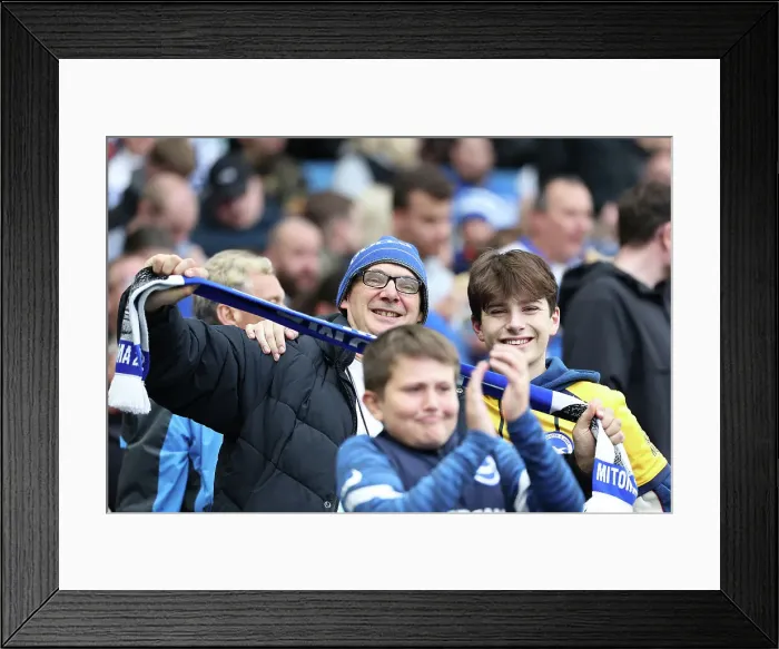 Framed Print : Brighton and Hove Albion v Wolverhampton Wanderers Premier League 26OCT24 Framed Print : Brighton and Hove Albion v Wolverhampton Wanderers Premier League 26OCT24