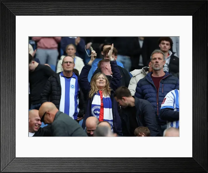 Framed Print : Brighton and Hove Albion v Wolverhampton Wanderers Premier League 26OCT24 Framed Print : Brighton and Hove Albion v Wolverhampton Wanderers Premier League 26OCT24