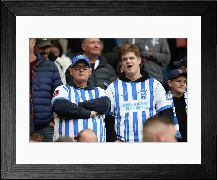 Framed Print : Brighton and Hove Albion v Wolverhampton Wanderers Premier League 26OCT24 Framed Print : Brighton and Hove Albion v Wolverhampton Wanderers Premier League 26OCT24