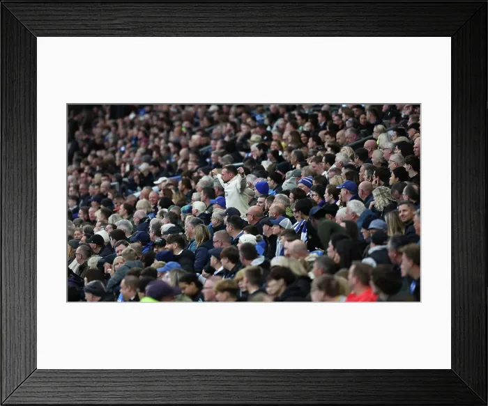 Framed Print : Brighton and Hove Albion v Wolverhampton Wanderers Premier League 26OCT24 Framed Print : Brighton and Hove Albion v Wolverhampton Wanderers Premier League 26OCT24
