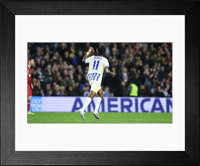 Framed Print : Brighton and Hove Albion v Liverpool Carabao Cup 30OCT24
