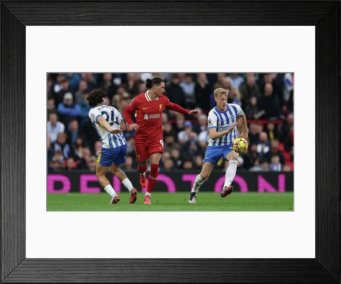Framed Print : Liverpool v Brighton and Hove Albion Premier League DDMMMYY Framed Print : Liverpool v Brighton and Hove Albion Premier League DDMMMYY