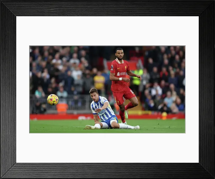 Framed Print : Liverpool v Brighton and Hove Albion Premier League DDMMMYY Framed Print : Liverpool v Brighton and Hove Albion Premier League DDMMMYY