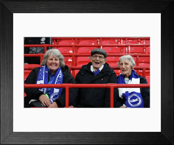 Framed Print : Liverpool v Brighton and Hove Albion Premier League DDMMMYY