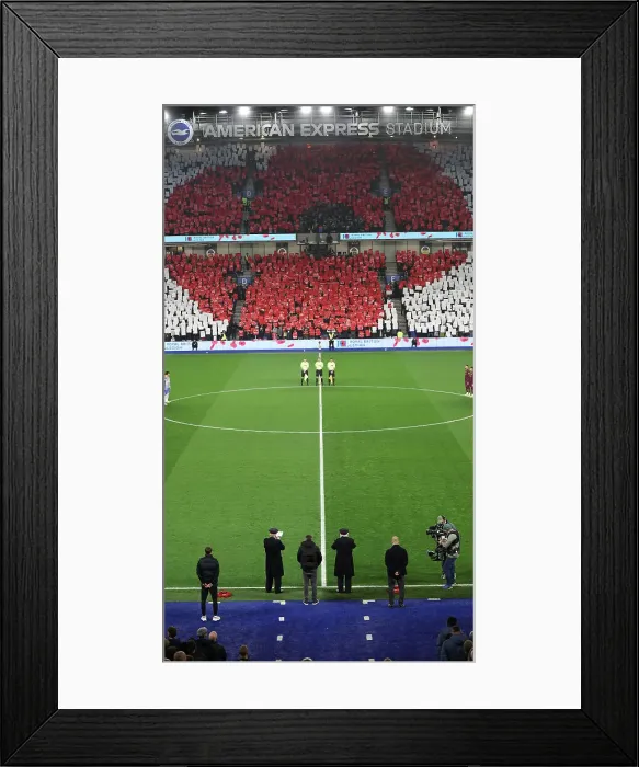 Framed Print : Brighton and Hove Albion v Manchester City Premier League 09NOV24 Framed Print : Brighton and Hove Albion v Manchester City Premier League 09NOV24
